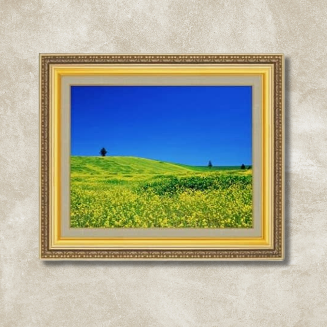 Original painting | Spring - Rape Blossom Field  F6