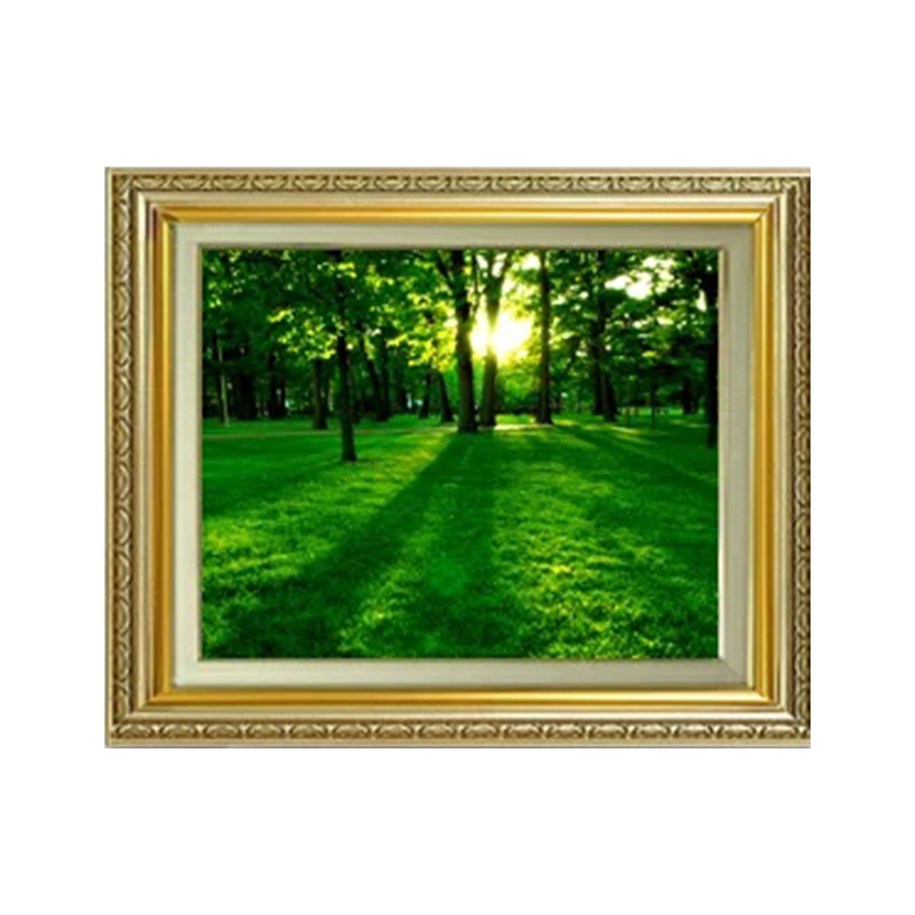 Original painting | Arbor light　 F6 - Commo Art 風景画 　