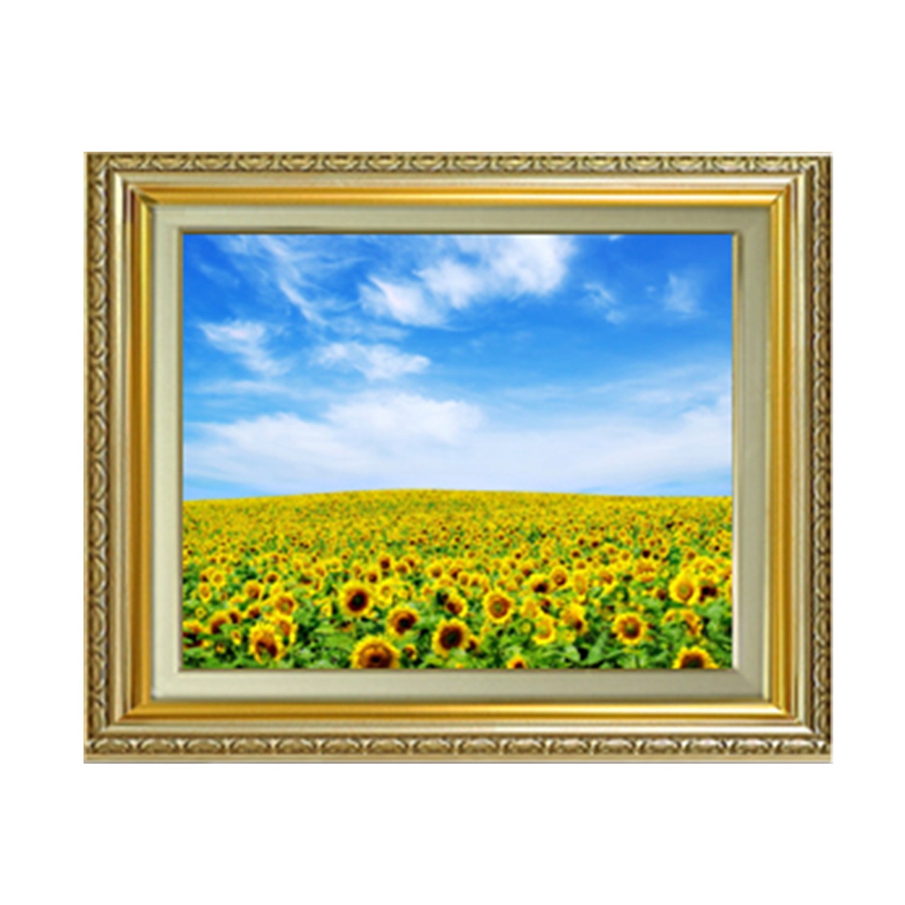 Original painting | Sunflower F6 - Commo Art 風景画 　