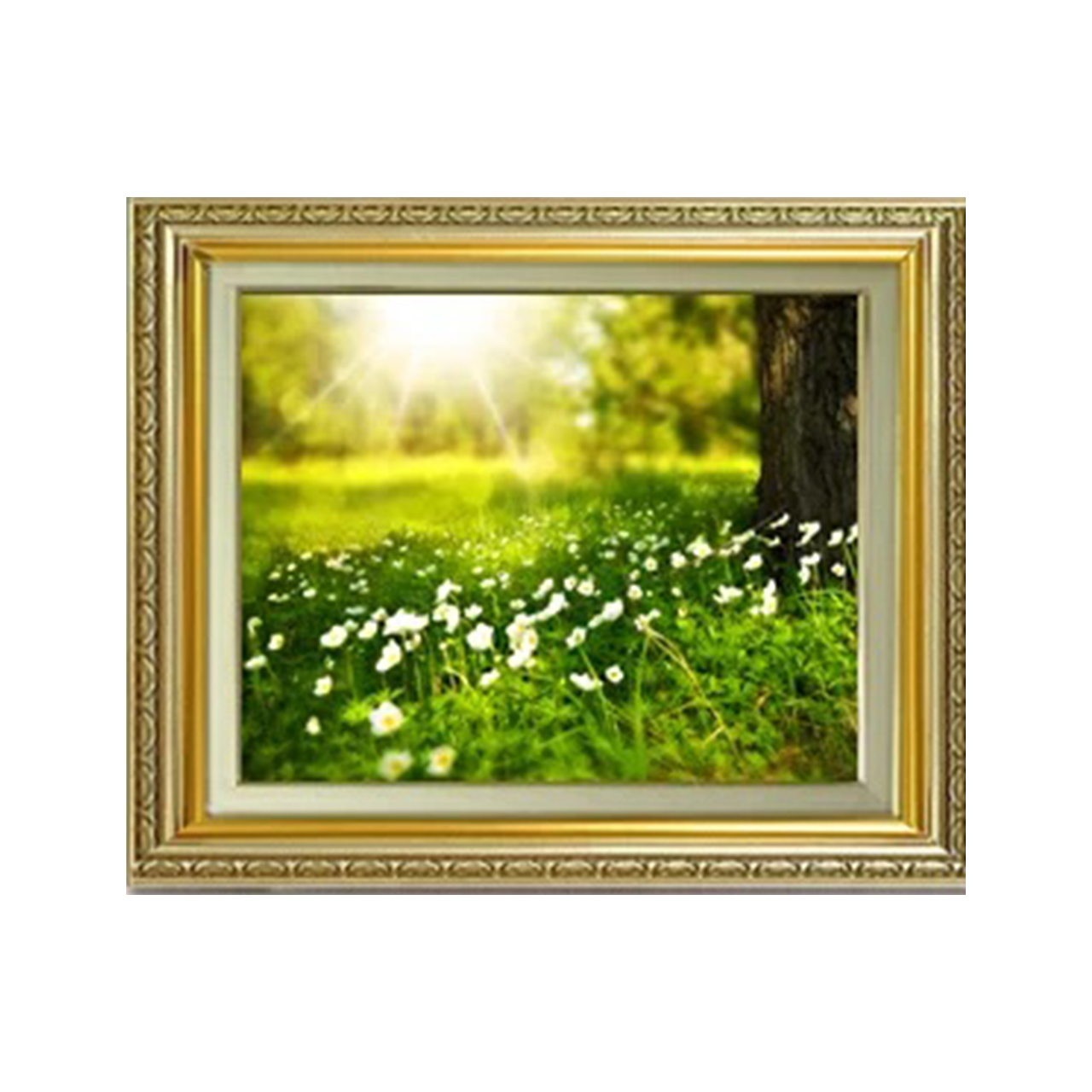 Original painting | Meadow, sunlight through trees F6 - Commo Art 風景画 　
